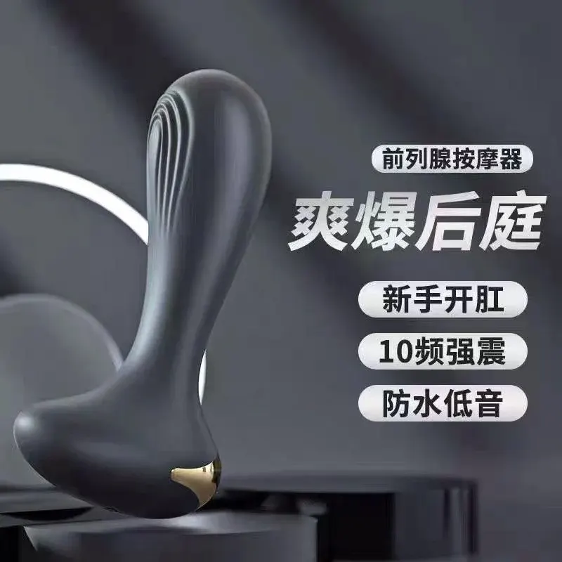 赛特后庭塞肛门刺激震动按摩器