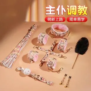闪粉款SM捆绑十件套